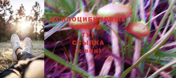 ПСИЛОЦИБИНОВЫЕ ГРИБЫ Вязьма