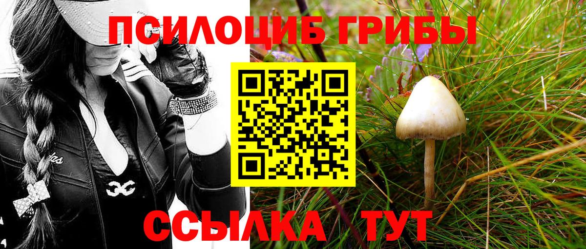 Псилоцибиновые грибы мицелий  Вход с VPN  Мончегорск  Псилоцибиновые грибы MAGIC MUSHROOMS 