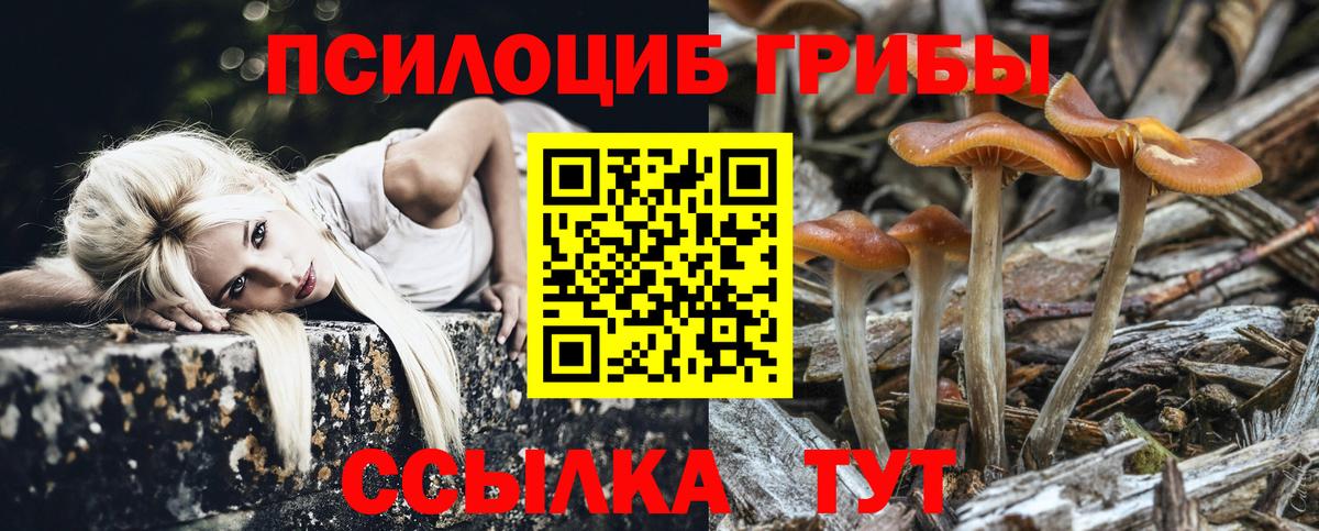 Псилоцибиновые грибы мицелий Мончегорск